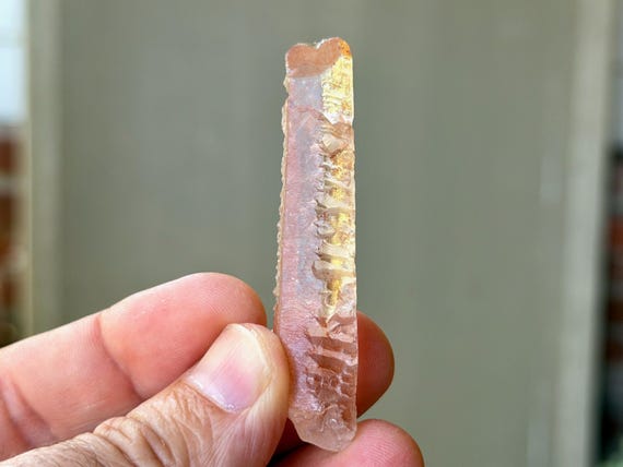 Ancient Sage Quartz, Hydrothermally Etched, 18g, Spiritual Transformation & Evolution, Para, Brazil A879