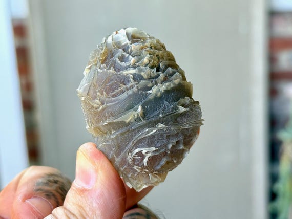 Black Mountain Gobi Agate, Agatized Fossil Coral, 74g, Naturally Formed, Earth & Water Energies, China A036