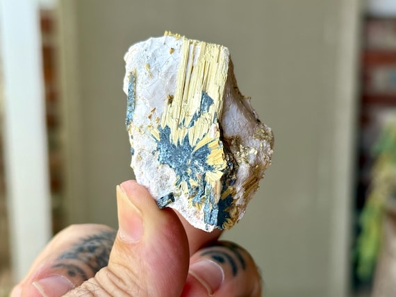 Golden Rutile & Black Hematite on Matrix, 61g, New Find, Conductor Amplifier Crystal, Novo Horizonte, Bahia, Brazil T176