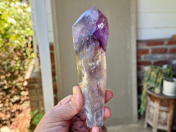 Root Amethyst, Natural Dragon's Tooth Amethyst, 466g, New Find, Spiritual Purification & Cleansing, Bahia, Brazil X213
