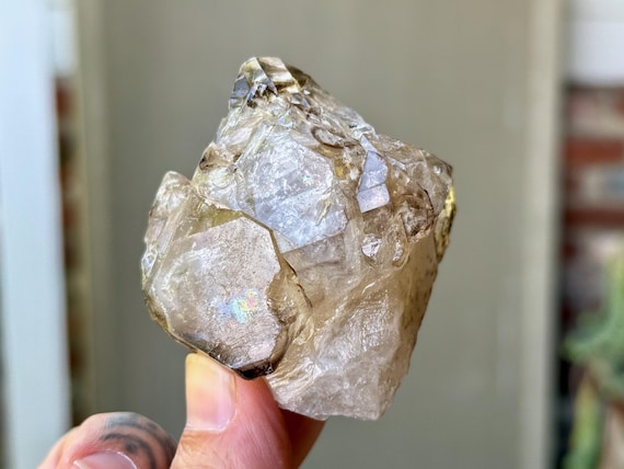 Elestial Smoky Quartz, Scepter Formation, 150g, Root Chakra, Aracuai, Minas Gerais, Brazil W681