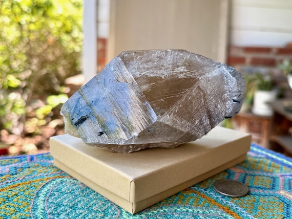 Citrine with Blue Tourmaline, All Natural, 804g, New Find, Indicolite Citrine, São José do Safira, Minas Gerais, Brazil X964