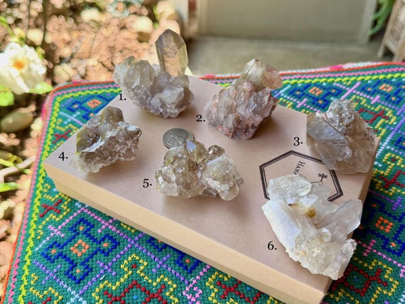 Golden Rutile Smoky Quartz, Choose ONE of Six, Conductor Amplifier Crystal, Novo Horizonte, Bahia, Brazil WS252