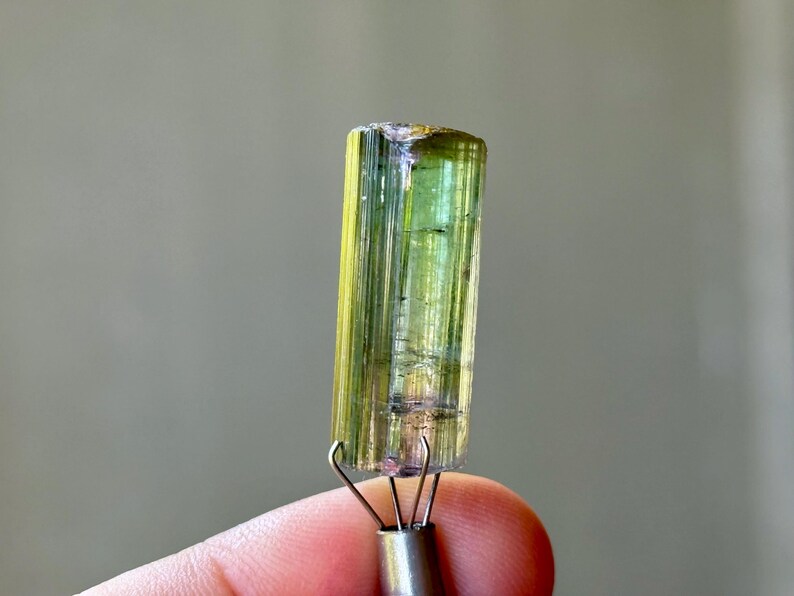 May include: A cylindrical, raw tourmaline crystal with a gradient of colors, including yellow, green, and blue. The gemstone is held by a silver metal tool. The crystal has a natural, textured surface.