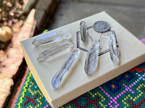 Sirian Starbrary Quartz Lot, 6 pcs, Water Clear Quartz with Extraterrestrial Glyphs, Corinto, Minas Gerais, Brazil T885