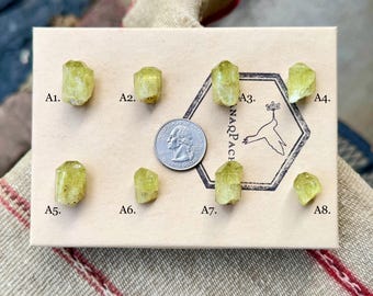 Yellow Apatite, Rare Find, Choose ONE of Eight, Natural Gem Apatite, Solar Plexus & Sacral Chakra Crystal, Morocco S023