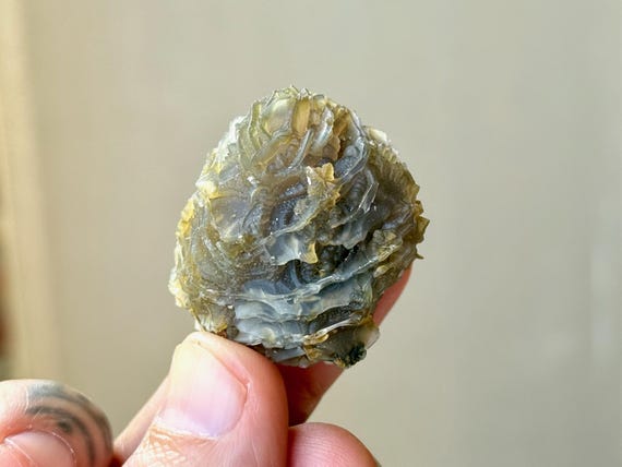 Black Mountain Gobi Agate, Agatized Fossil Coral, 32g, Naturally Formed, Earth & Water Energies, China A016