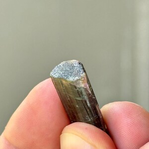 May include: Close-up of a raw, natural tourmaline crystal. The crystal is a dark, translucent green with a textured, gray-blue tip. The crystal is held between fingers, showcasing its natural form and color variations.