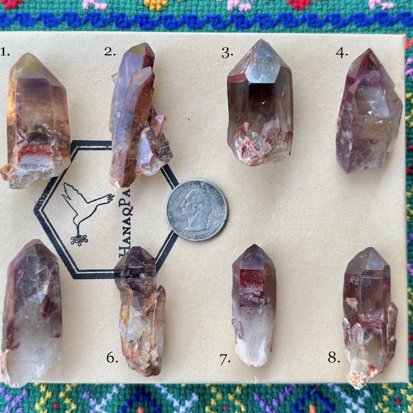 Quarzo fantasma di ematite rossa, scegli uno degli otto, chakra della radice, terra e protezione, Zambia A496