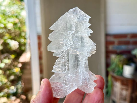 Fishtail Selenite, Natural Angel Wing Formation, 156g, Purification & Energetic Cleansing, Mexico A610