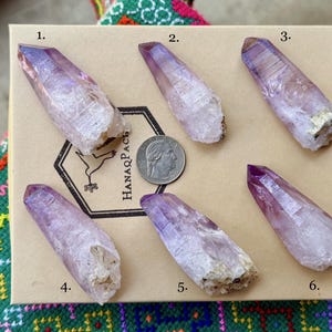 May include: Six amethyst crystal points with varying shades of purple and white are displayed on a cardboard surface. A dime is placed near the crystals for size reference. The crystals are arranged on a box with the text "HanaqPach" and a bird logo.