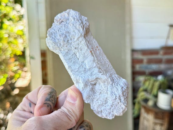 Atlantean Lovestar Scepter Quartz, Barbell Formation, 267g, Candle Quartz, Past Life Recall, Minas Gerais, Brazil W626