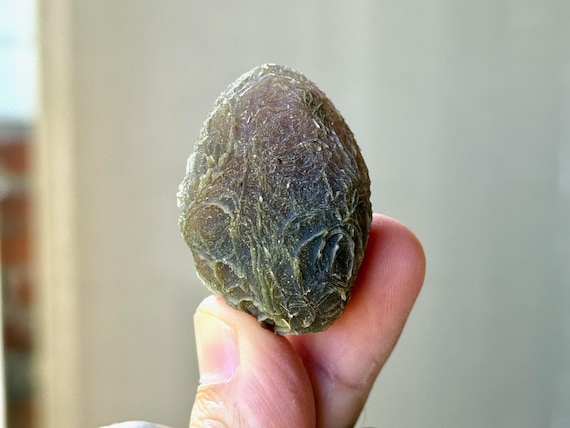 Black Mountain Gobi Agate, Fossil Coral, 38g, Agatized Coral, Naturally Formed, Earth & Water Energies, China T900