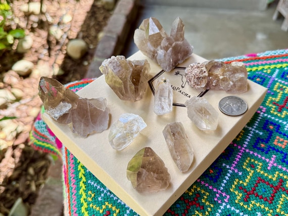 Golden Rutile Quartz Lot, 10 pcs, Conductor Amplifier Crystals, Novo Horizonte, Bahia, Brazil WS249