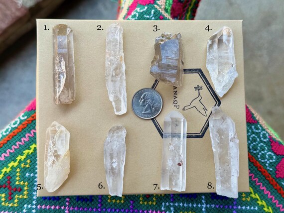 Lightning Strike Lemurian Quartz, Choose ONE of Eight, Amplify Prana & Chi, Minas Gerais, Brazil B394