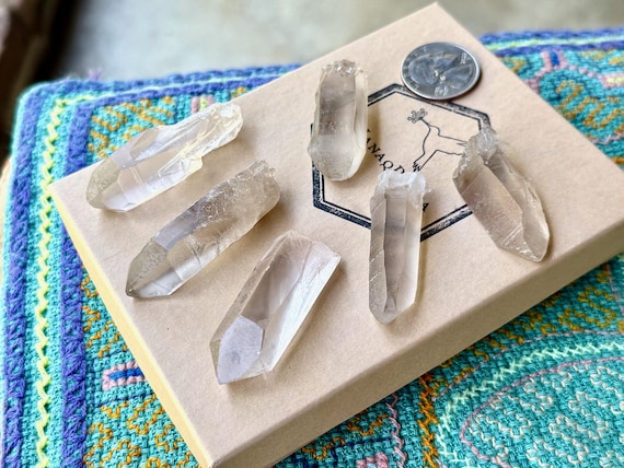 Smoky Lemurian Quartz Lot, 6 Pieces, New Find, Natural High-Grade Lemurians, Serra do Cabral, Minas Gerais, Brazil T294