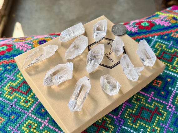 Starbrary Quartz Crystal Lot, Tomas Gonzaga Mine, 11 Pcs, Corinto, Minas Gerais, Brazil WS234