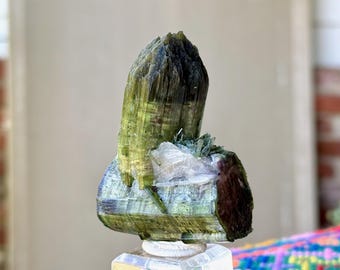 Puede incluir: Cristal de turmalina verde en bruto, con base marrón oscuro y parte superior verde claro. El cristal está montado sobre una base blanca. La piedra tiene una textura natural rugosa, sobre un fondo neutro.