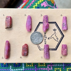 May include: Eight raw ruby gemstones in varying shapes and sizes are displayed on a beige card. A US quarter is included for scale. The gemstones range in color from deep red to pinkish-purple. The card has a logo with a bird and the text "TARPACH".