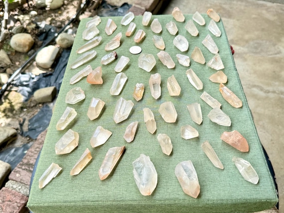 Golden Healer Lemurian Quartz Lot, 58 pcs (1 Kilo), Serra do Cabral, Minas Gerais, Brazil WS187