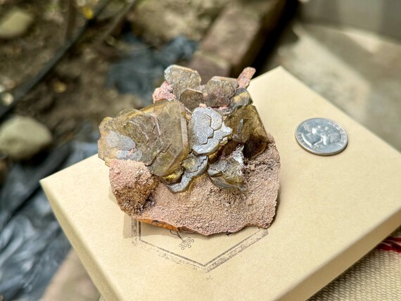 Golden Barite on Matrix, New Find, Yellow Barite in Tabular Formation, Inner Vision, Crown Chakra, Miraflores, Huanuco, Peru W241