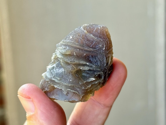 Black Mountain Gobi Agate, Agatized Fossil Coral, 49g, Naturally Formed, Earth & Water Energies, China A015