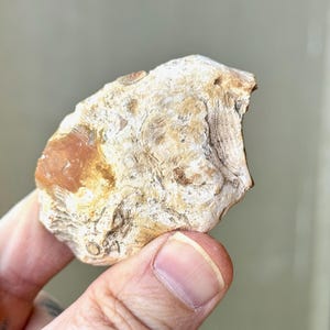 May include: A close-up of a white and orange agate stone with a rough, textured surface.