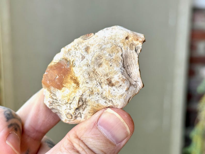 May include: A close-up of a white and orange agate stone with a rough, textured surface.