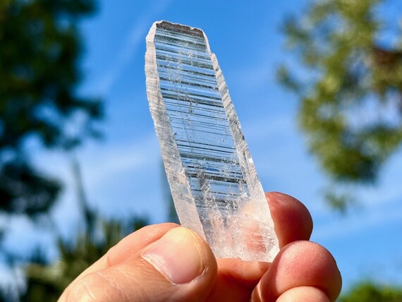 Nifontovite, AAA Water Clear, Tabular Formation, 15g, New Find, Del Rey Mine, Charcas, San Luis Potosi, Mexico T873