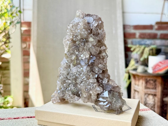 Smoky Quartz Cluster, Self-Standing Plate Formation, 717g, Root Chakra Crystal for Grounding & Protection, Minas Gerais, Brazil W288
