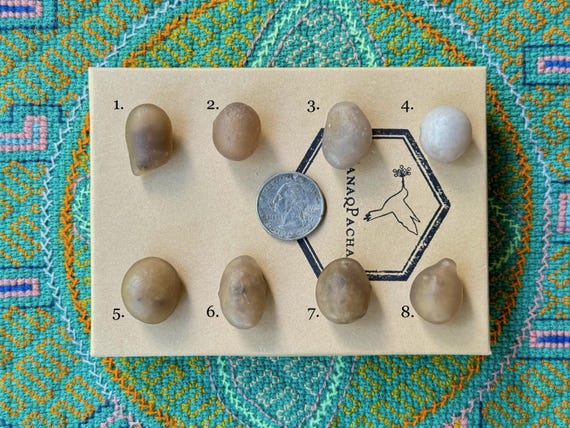 Running Sand Gobi Agate, Choose ONE of Eight Gobi Agates with Trapped Sand Inside, Naturally Formed by Wind and Sand, Mongolia R845