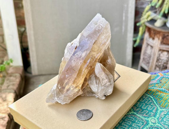 Citrine with Black Tourmaline, Self-Standing, 1.2 Kilo, Tessin Habit Formation, Conselheiro Pena, Minas Gerais, Brazil W695
