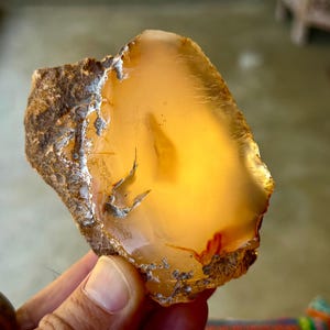 May include: A translucent, golden-yellow agate slice with a rough, textured brown outer crust. The interior displays a smooth, polished surface with subtle internal inclusions and a warm, glowing appearance when backlit by light.
