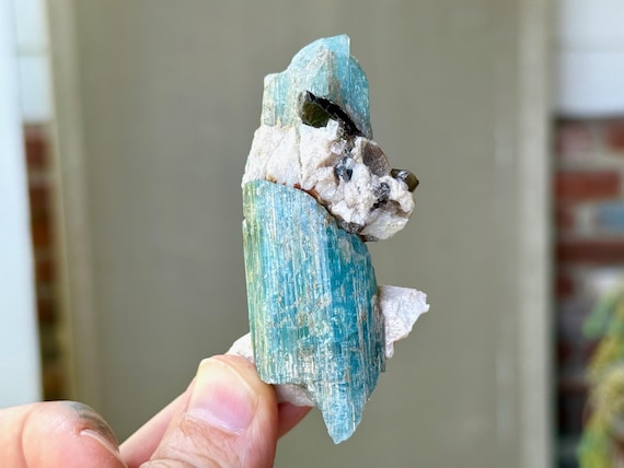 Electric Blue Aquamarine with Smoky Quartz, All Natural, 74g, Self-Healed Formation, Throat Chakra Crystal, Afghanistan S875