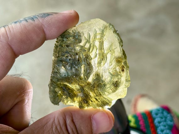 Black Mountain Gobi Agate, Fossil Coral, 98g, Agatized Coral, Naturally Formed Over Time, Earth & Water Energies, China T664