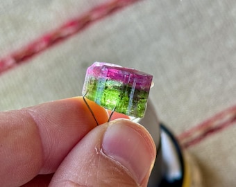 ピンク トルマリン、アリカンガ鉱山、3.8g、サン ジョゼ ダ サフィラ