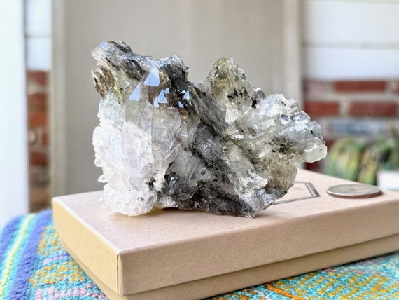 Black Tourmaline Quartz, Self-Standing, Plate Formation, 212g, New Find, Cabasaco Mine, Diamantina, Minas Gerais, Brazil W960