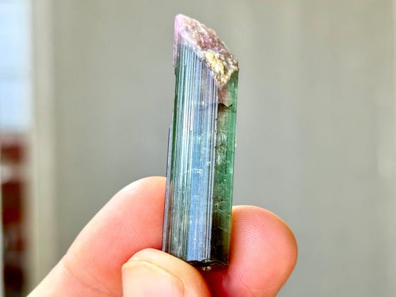 Bicolor Tourmaline from Aricanga Mine, Blue-Green and Pink, 15.6g (78ct), New Find, Exquisite Quality, Minas Gerais, Brazil R674