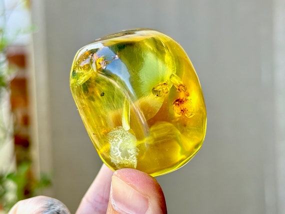 Green Copal Amber with Fossilized Insects and Plant Matter, 58g, Rare Find, Cycle of Life, Ancient Wisdom, Cimitarra, Colombia W133