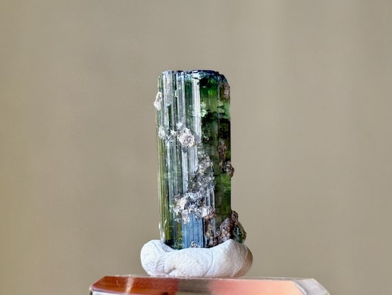 Bicolor Tourmaline, Aricanga Mine, Green with Blue Cap, 6.1g, São Jose do Safira, Minas Gerais, Brazil A426