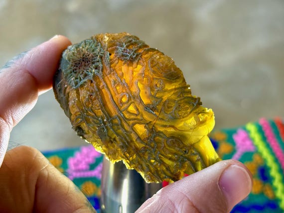 Black Mountain Gobi Agate, Agatized Fossil Coral, 78g, Naturally Formed, Earth & Water Energies, China A089