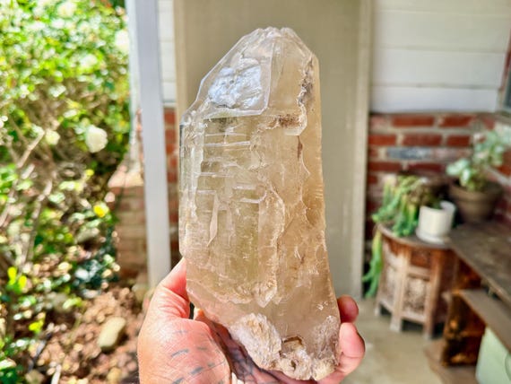 Elestial Citrine with Trigons, Jacare Quartz, 2.6 Kilo, Manifestation & Creativity, Minas Gerais, Brazil W570