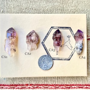 Chibuku Amethyst Scepter, Choose ONE of Four, All Natural, Shangaan Amethyst with Sceptered Growth, Zimbabwe R997