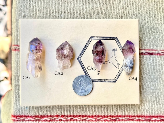 Chibuku Amethyst Scepter, Choose ONE of Four, Shangaan Amethyst Crystals with Sceptered Growth, Zimbabwe R997