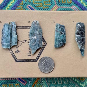 Ocean Kyanite, Choose ONE of Four, Blue-Green Kyanite Crystals, Heart & Throat Chakra Connection, Tanzania S628