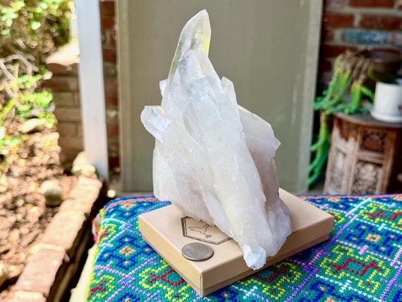 Lemurian Quartz Cluster, Curved Formation, 1.2 Kilo, New Find, Adaptation & Perseverance, Bahia, Brazil V571