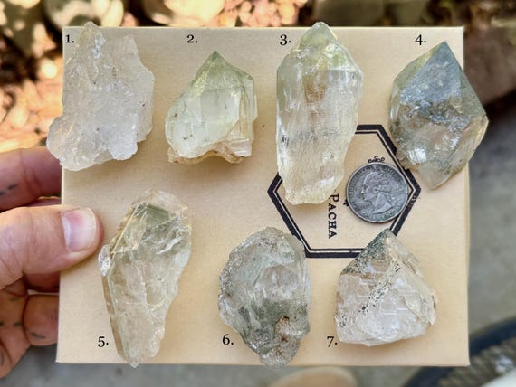 Himalayan Quartz with Green Chlorite, Choose ONE of Seven, High Altitude Crystal, Heart Healing & Purification, India A594