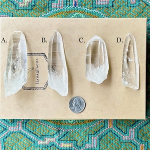 Lemurian Quartz, Water Clear, Choose ONE of Four, Serra do Cabral, Minas Gerais, Brazil R559