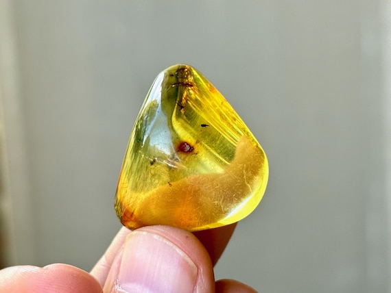 Copal Amber Crystal with Fossilized Insects & Plant Matter, Cycle of Life, Ancient Wisdom, Colombia A260