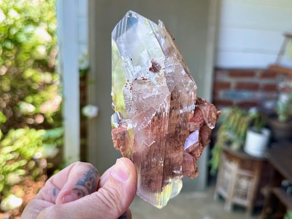 Durango Selenite, 332g, Highest Quality, Water-Clear Selenite for Purification and Energetic Cleansing, Bermejillo, Mexico W860
